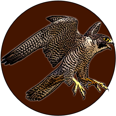 Brass Peregrine