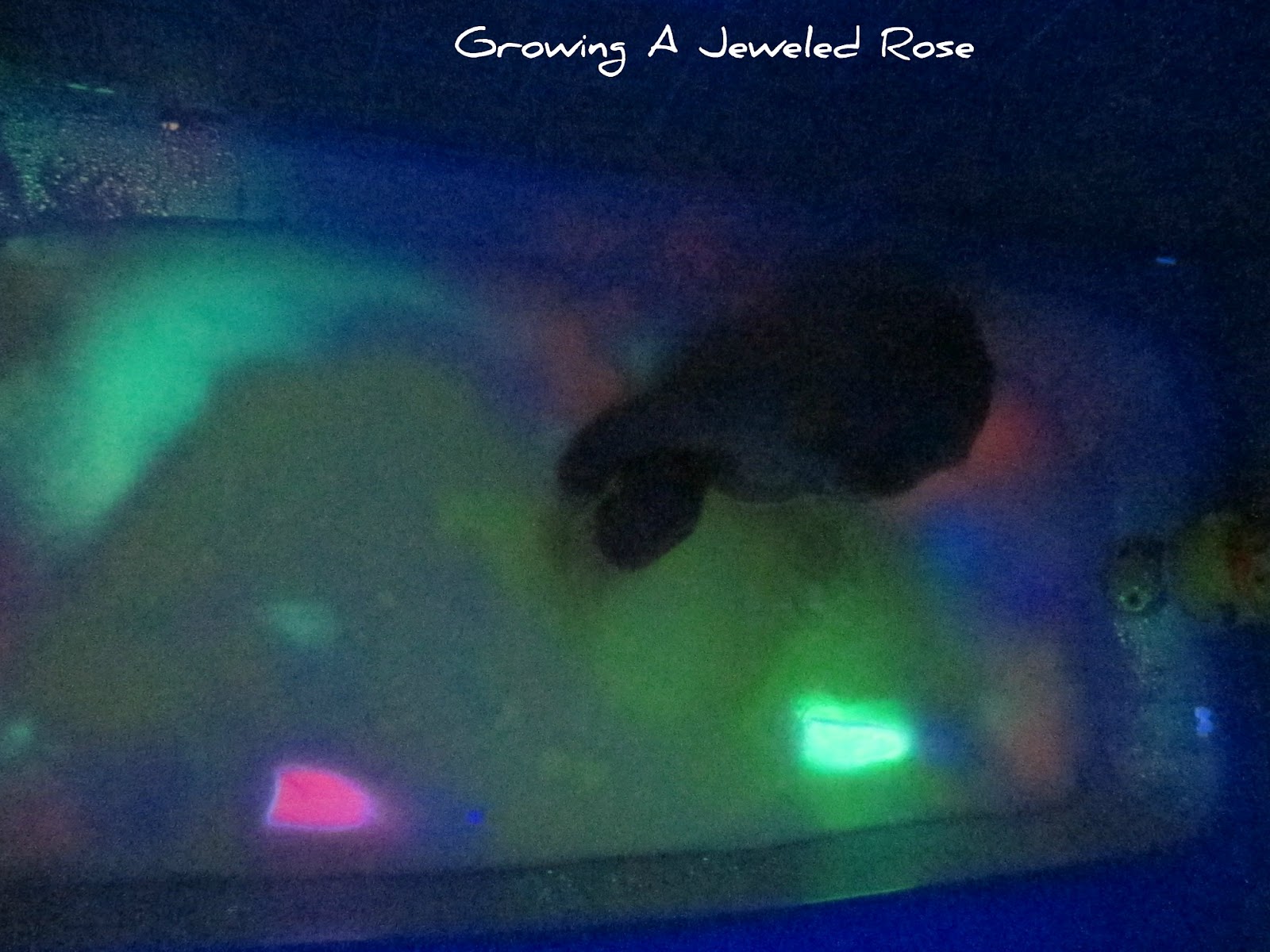 Make Your Own GLOWING Bath Bubbles Growing A Jeweled Rose