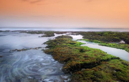 Keunikan Pantai Ngobaran, Gunungkidul - Bali Backpacker