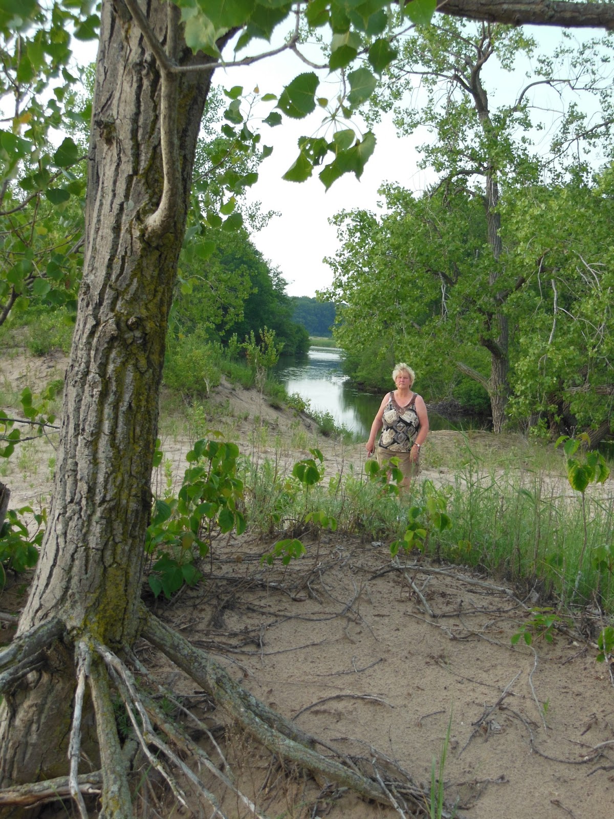 Fishing & Hunting in Oswego County, NY Deer Creek Marsh Wildlife