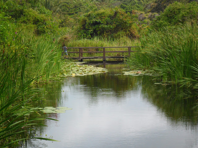 PARQUE ECOLÓGICO DO RIO COCÓ-FORTALEZA/CE