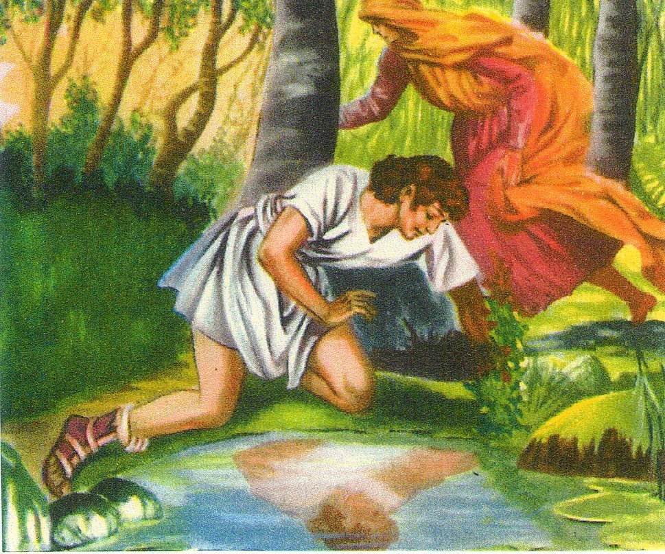 Reencontros NARCISISMO