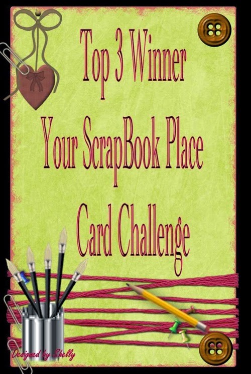 2 x Your Scrapbook Place Top 3