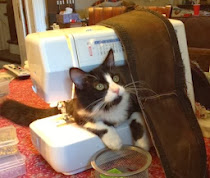 Orion and the Sewing Machine