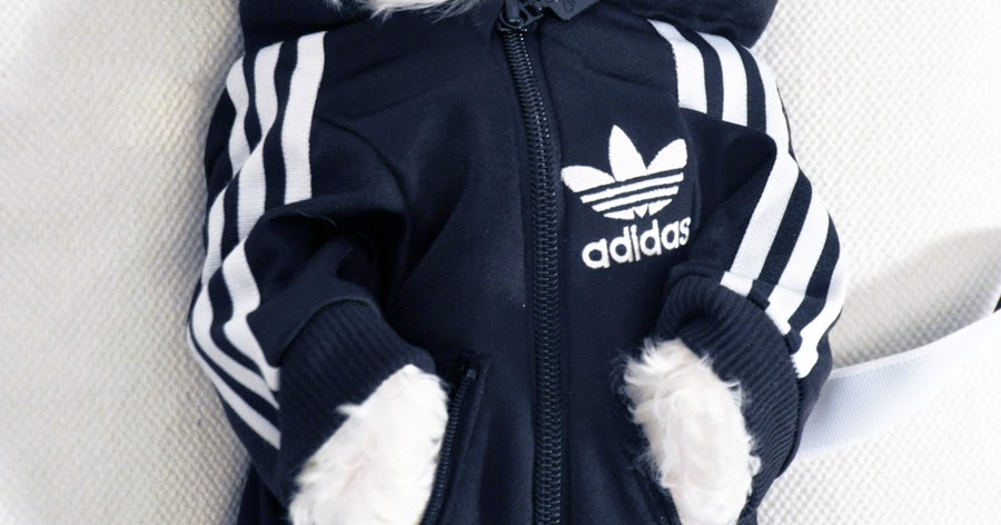 Pets_OFFmag: Luxirare Custom Doggy Adidas Tracksuit