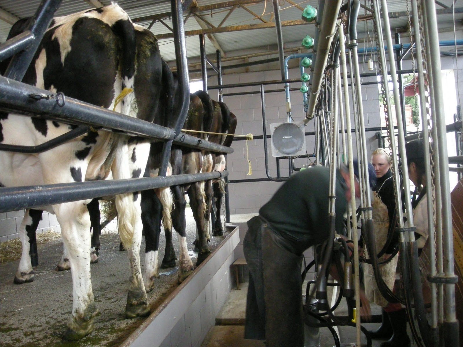 Gabi goes OZ Februar 2011