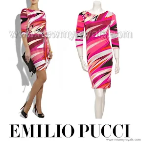 Crown Princess Victoria Style EMILIO PUCCI Printed Jersey Dress