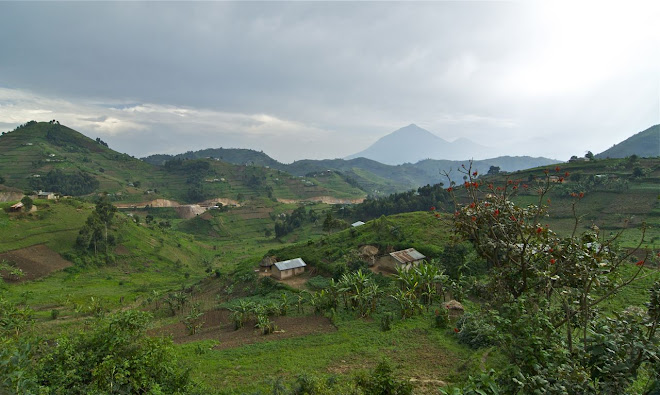 Im Dreiländereck Uganda-Kongo-Ruanda