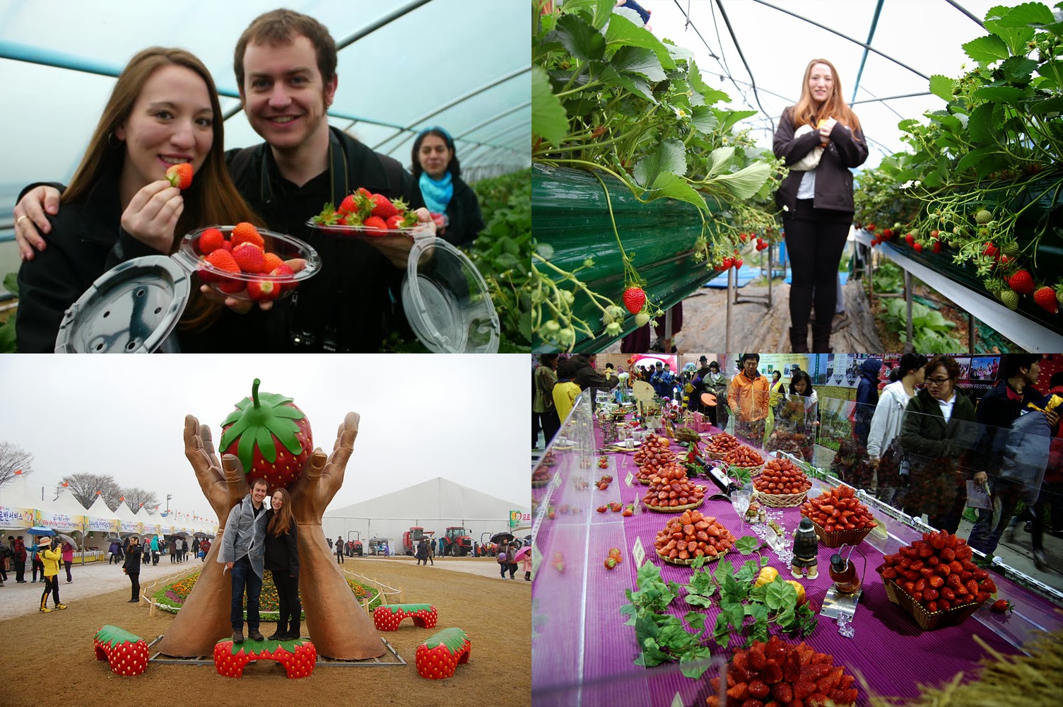 Pilgrim with a Passport The Top 50 Experiences in South Korea