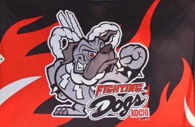 kochi fighting dogs tosa wave the kochi fighting dogs kochi fighting dogs tosa wave the kochi fighting dogs