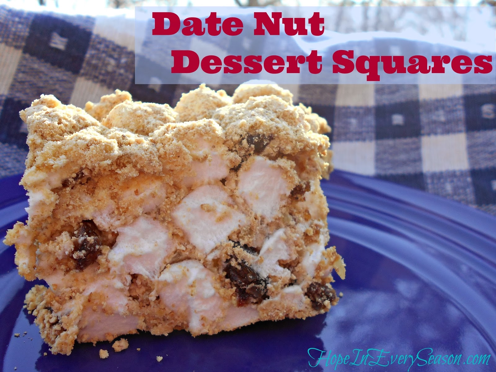 Classical Homemaking Date Nut Dessert Squares {Top Secret Ancient