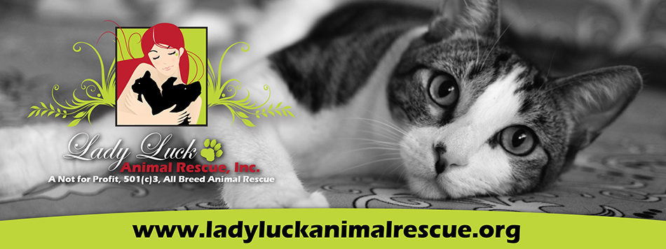 Lady Luck Animal Rescue, Inc.
