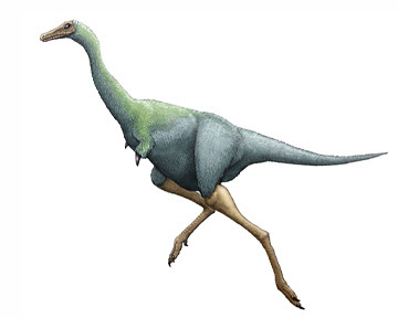 Los animales en la prehistoria Linhenykus monodatcylus