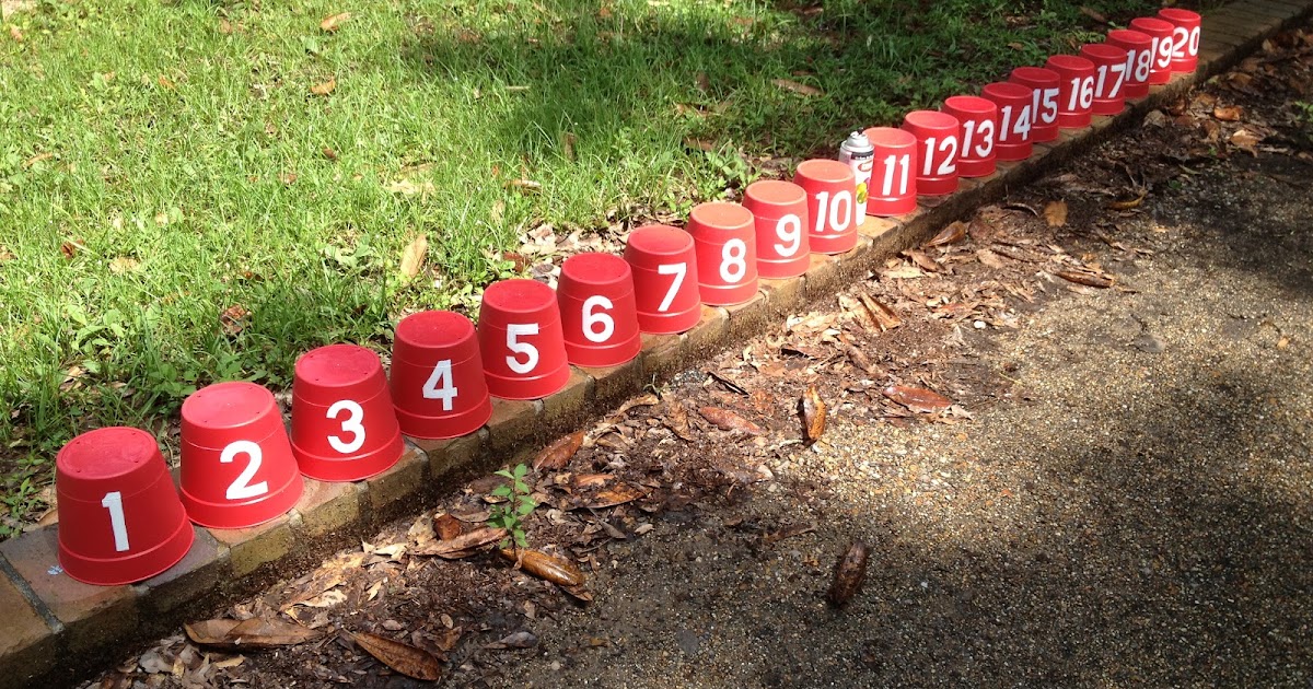 Michele Fry's Agility Dogs Training and Competition Number Cones