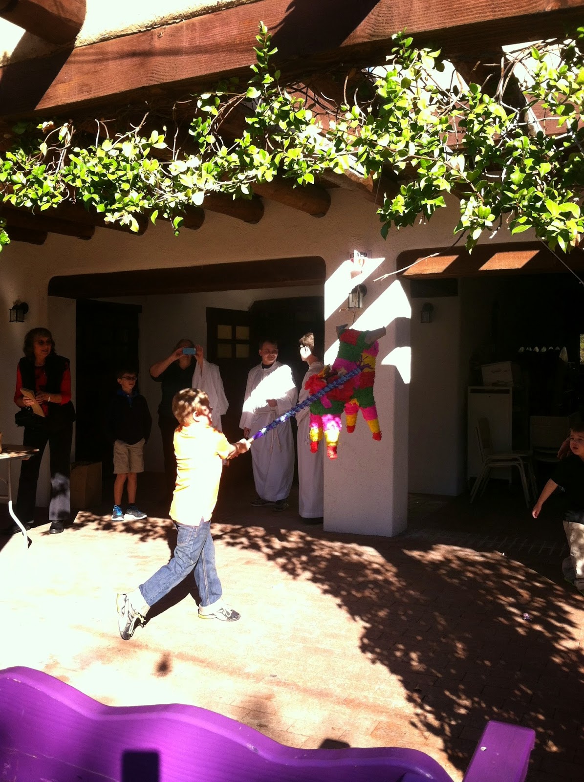 Tucson Daily Photo Nothing like a pinata for fun!