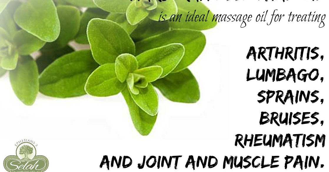 Selah's Oily Blessings Marjoram Essential Oil Arthritis, Lumbago, Sprains, Bruises, Rheumatism