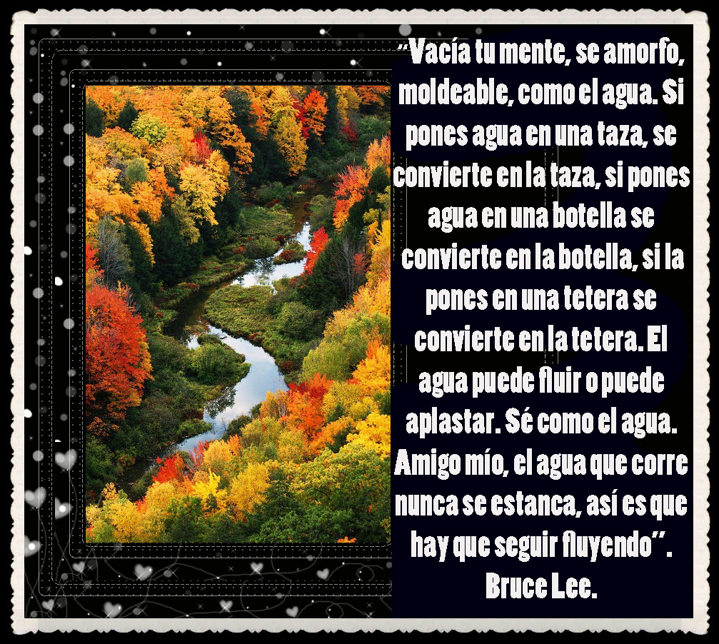 http://1.bp.blogspot.com/-AgPDk9IiwV4/UFd02SiwouI/AAAAAAABYvk/0Sc1uit5TPc/s1600/CITAS%20%20FRASES%20Y%20POEMAS%20%20FACE%20(16).jpg