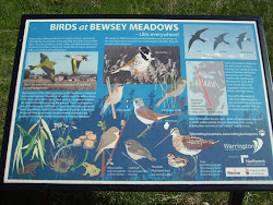 Bewsey Meadows SAVED for now!