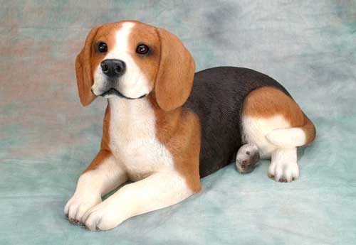 Anjing Beagle