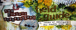 The Curious Scrapbookers Field Guide