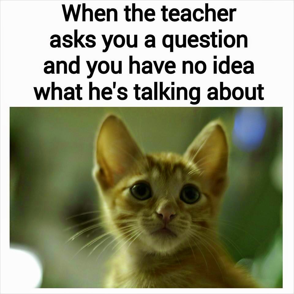 When the Teacher Asks You a question and you have no idea what he is