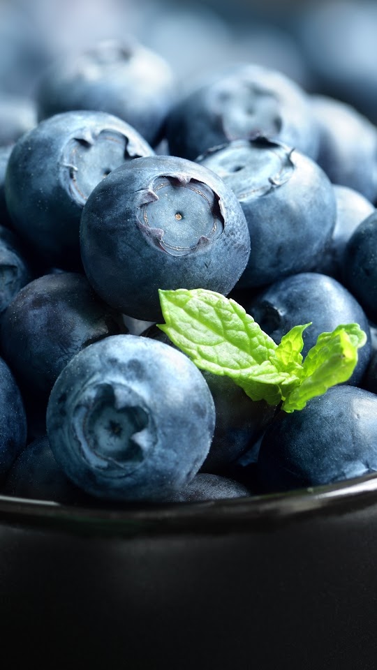 Bowl Blueberry Fresh Android Wallpaper