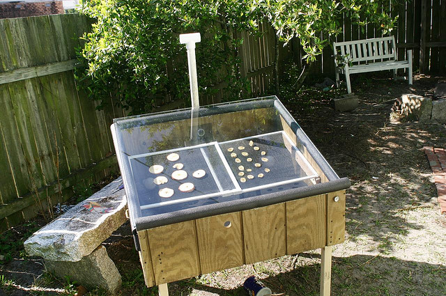 Desidratador solar de alimentos