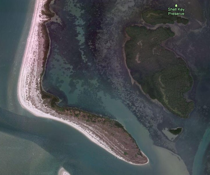 Walking the Docks A Tampa Yacht Broker's Blog Shell Key / Shell