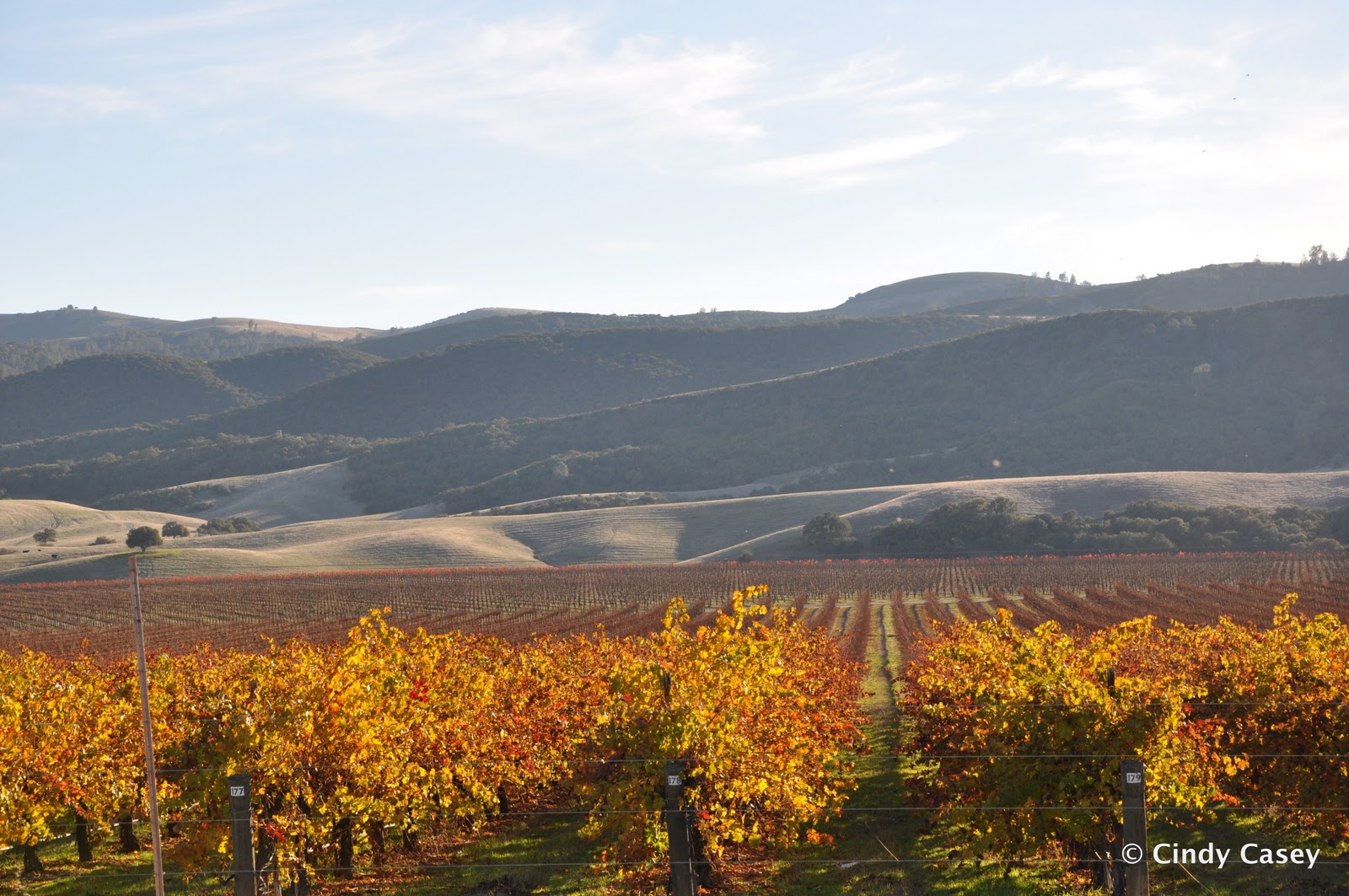 San Joaquin Valley Public Art and Architecture from Around the World