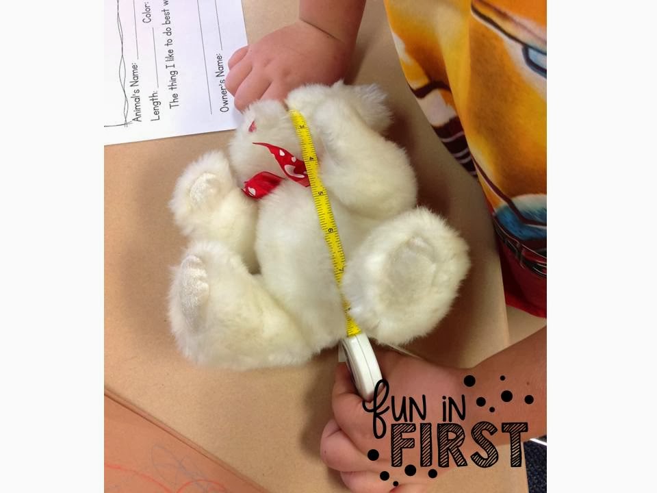 Our Teddy Bear Day Fun in First Grade