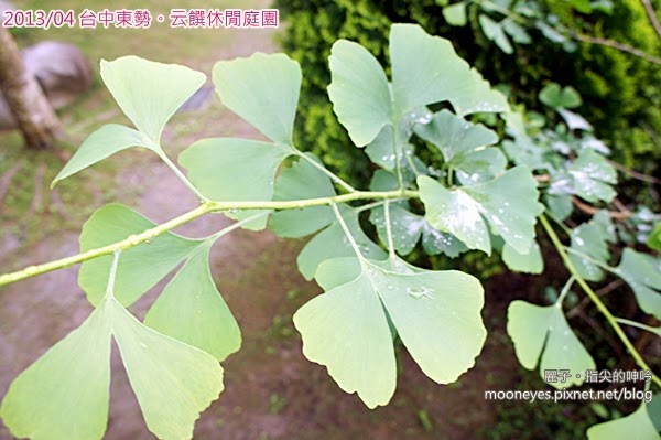 [吃遊] 台中東勢-云饌休閒庭園。往谷關路上的風景美爽好餐廳