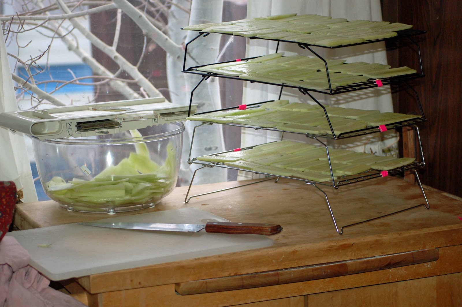 Dehydrating Way Beyond Jerky A Makeshift Dehydrator