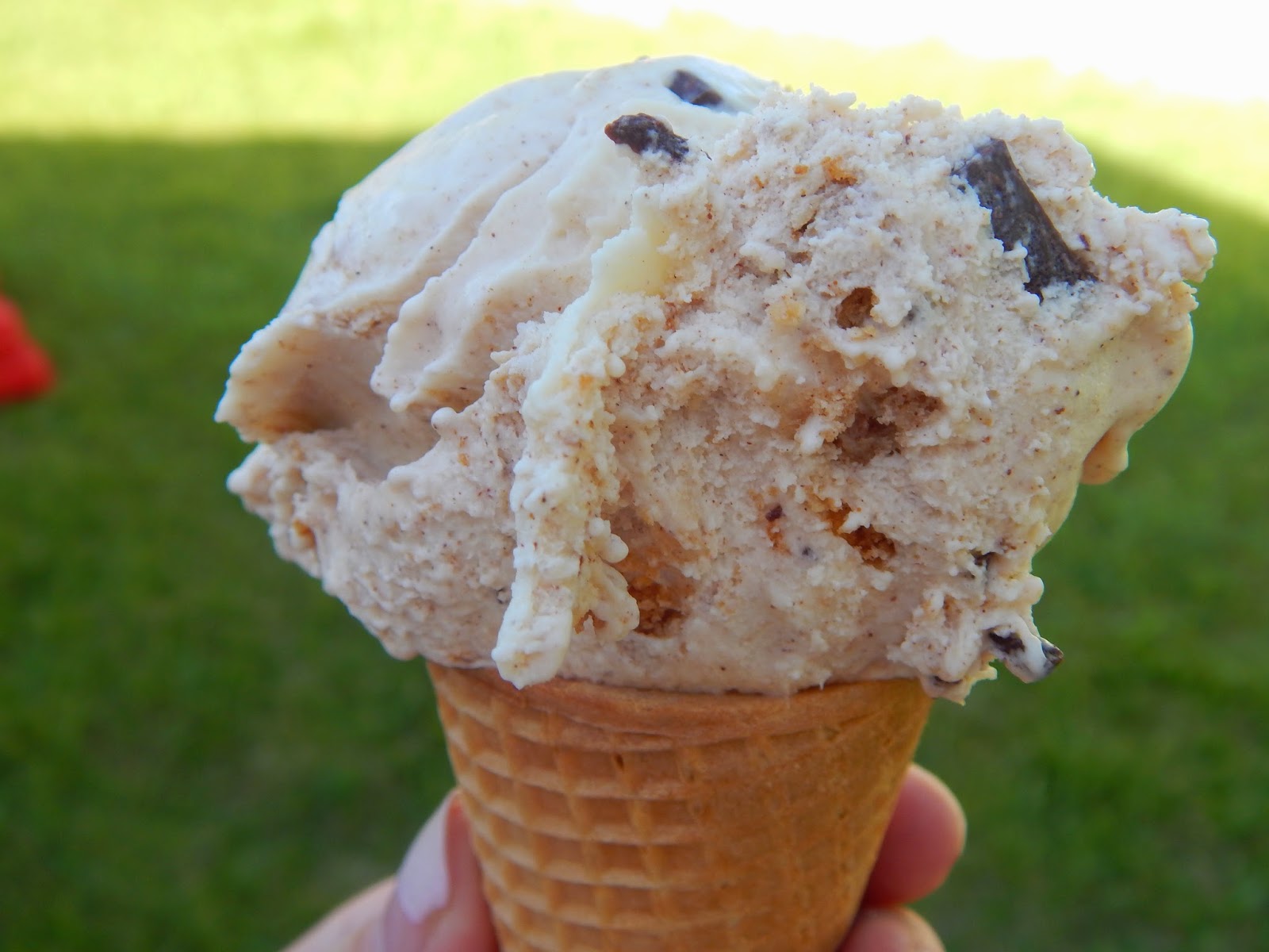 MorningNooNight Oatmeal Cookie Chunk Ice Cream