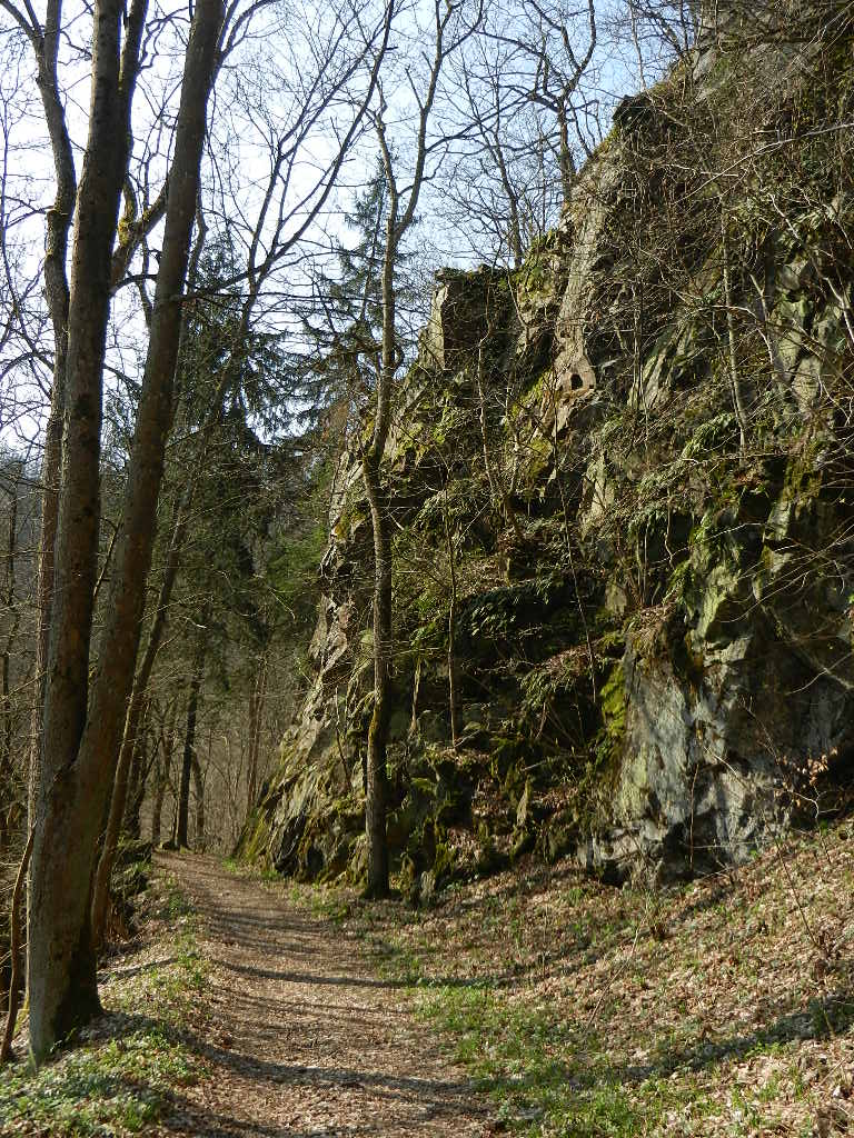 Im Wilden Harz Die Frischluft Fanatikerin