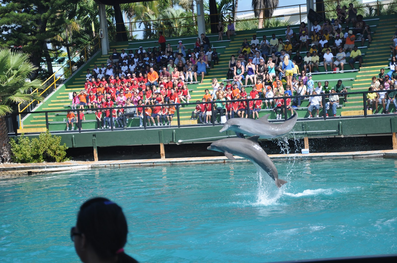 Daily Blog Miami Sea Aquarium
