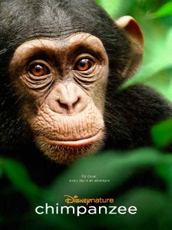 Mark_Linfield - Chimpanzee (2012) Vietsub Chimpanzee+(2012)_PhimVang.Org