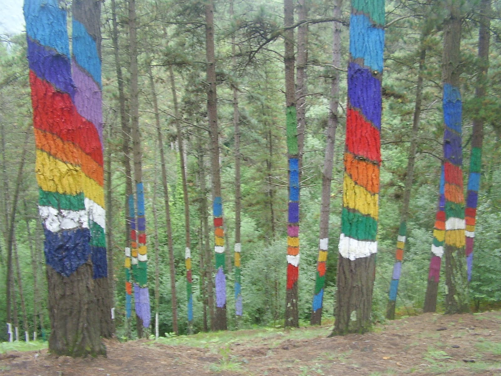 Senderos Almariya 4. Ruta por el bosque pintado de Oma Vizcaya