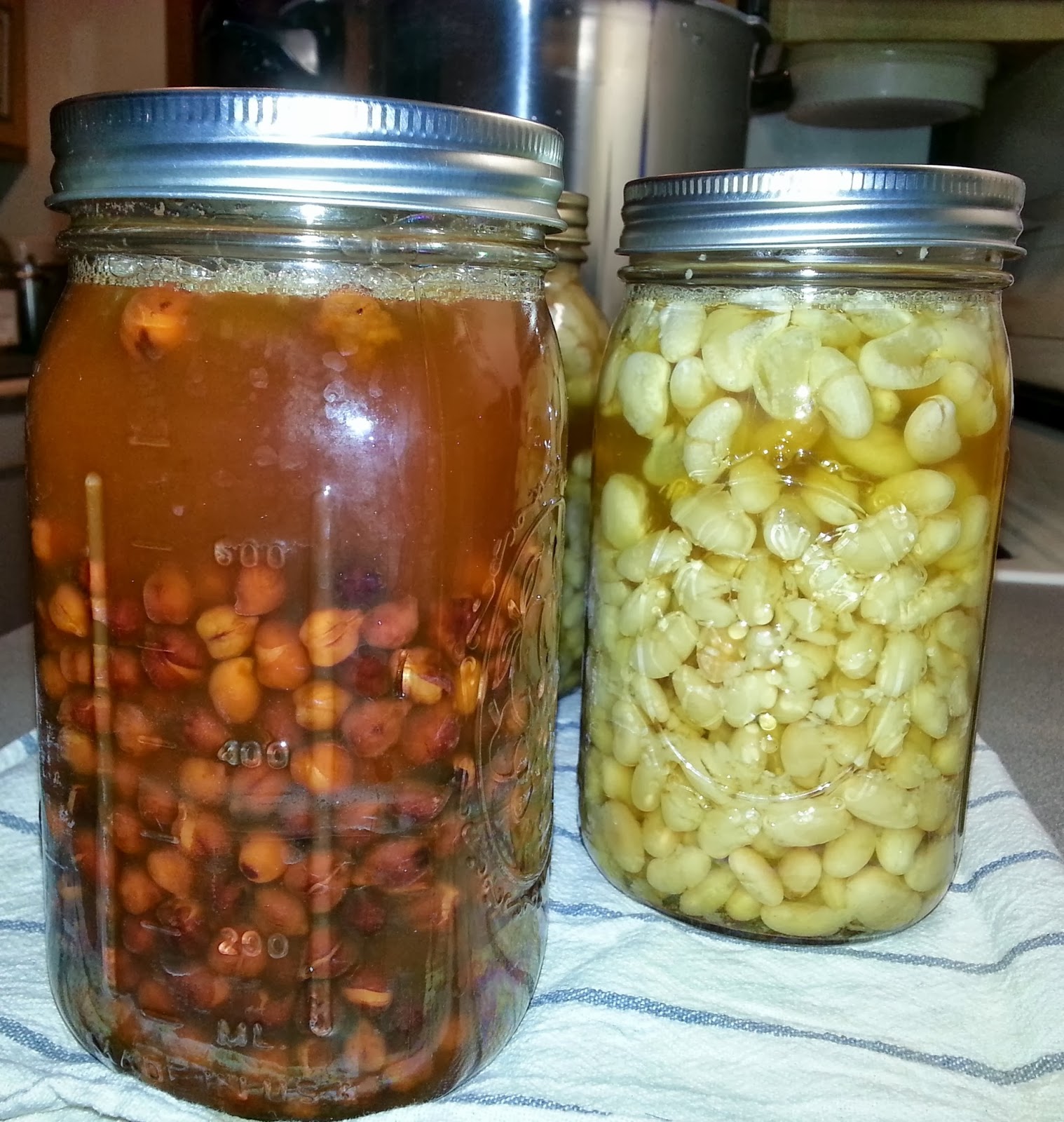 Pinching Lincoln Pressure canning dry beans My nosoak, noprecook
