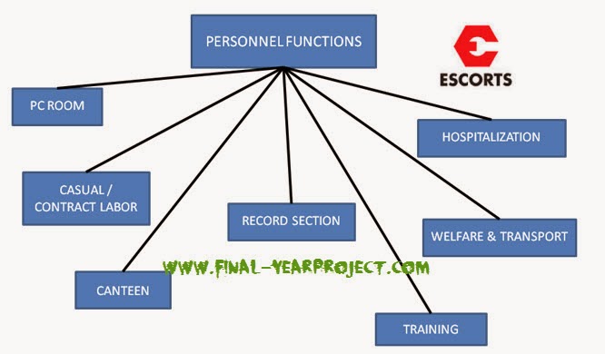 Dissertation Project Report Finance