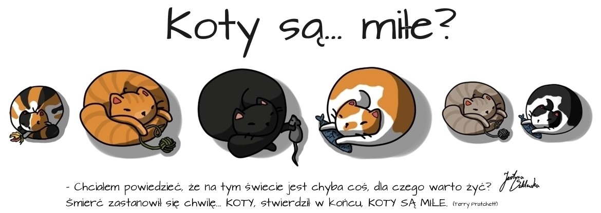 Koty są... miłe?