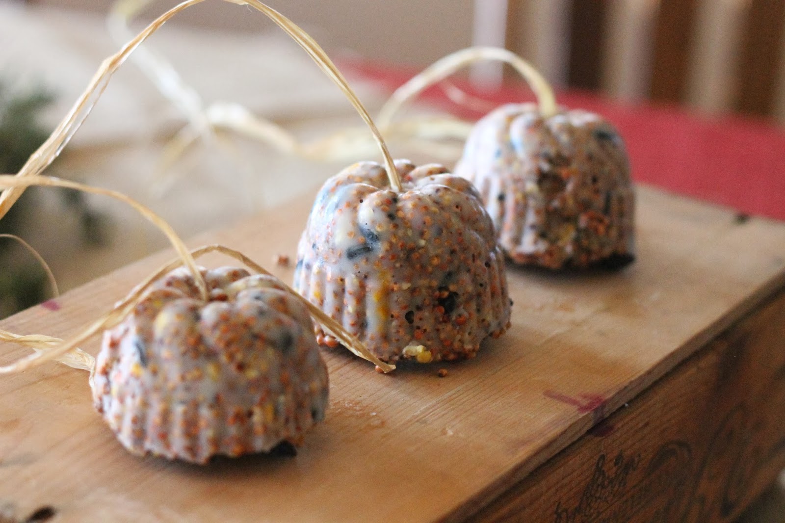 Where Your Treasure Is Bird Seed Ornaments