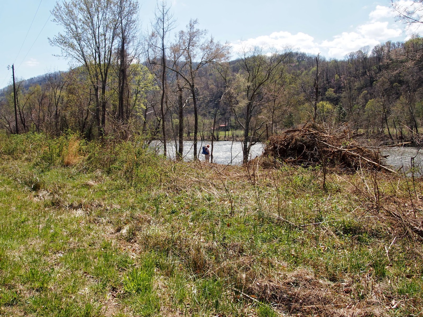 Life in the Mountains