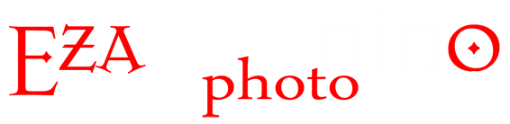 Ven-nino Photowork Art