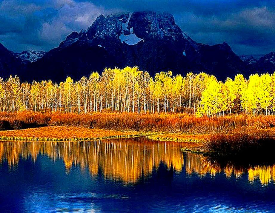 Nature Wallpaper Desktop   New Wallpapers Nature Wallpaper Desktop   New Wallpapers