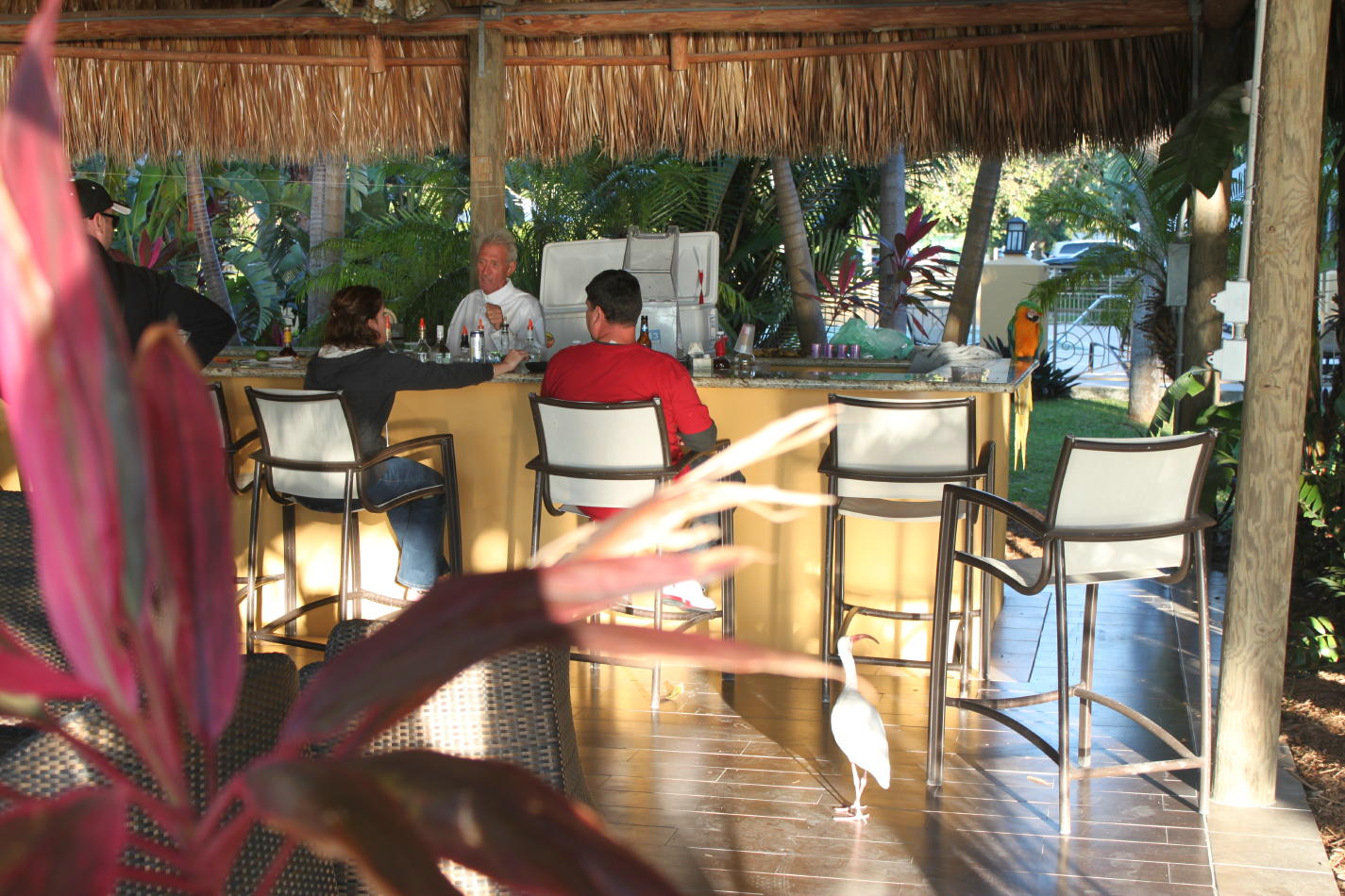 Up North Tiki Bar Key Largo