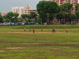 Singapore Walkabout Day 4 Chinese Garden To Jalan Murai