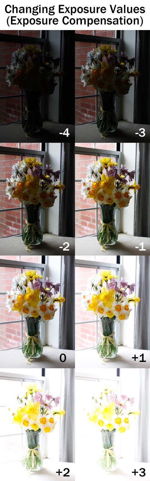 Explaining Exposure and Exposure Compensation Boost Your Photography