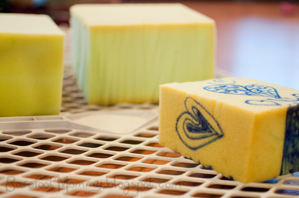 Life in the Slow Lane DIY Needle Felting Cushion