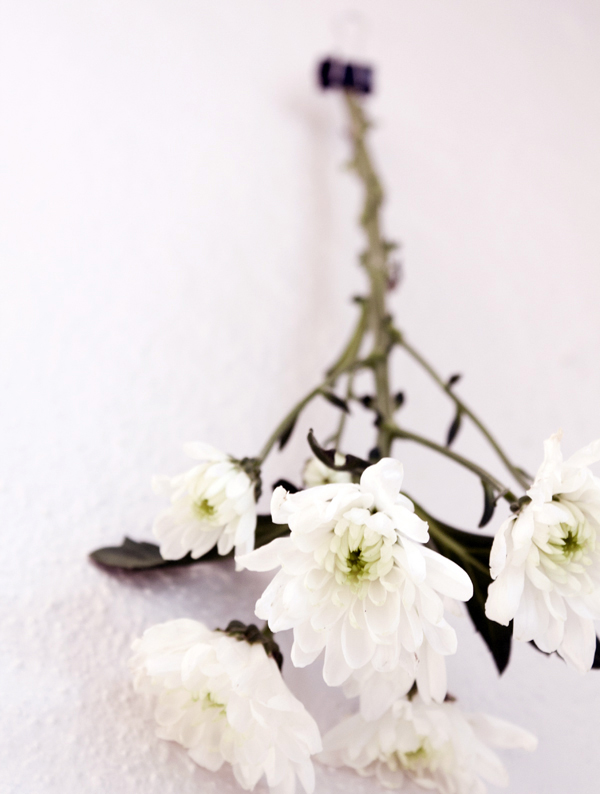 life as a moodboard Flowers on the wall