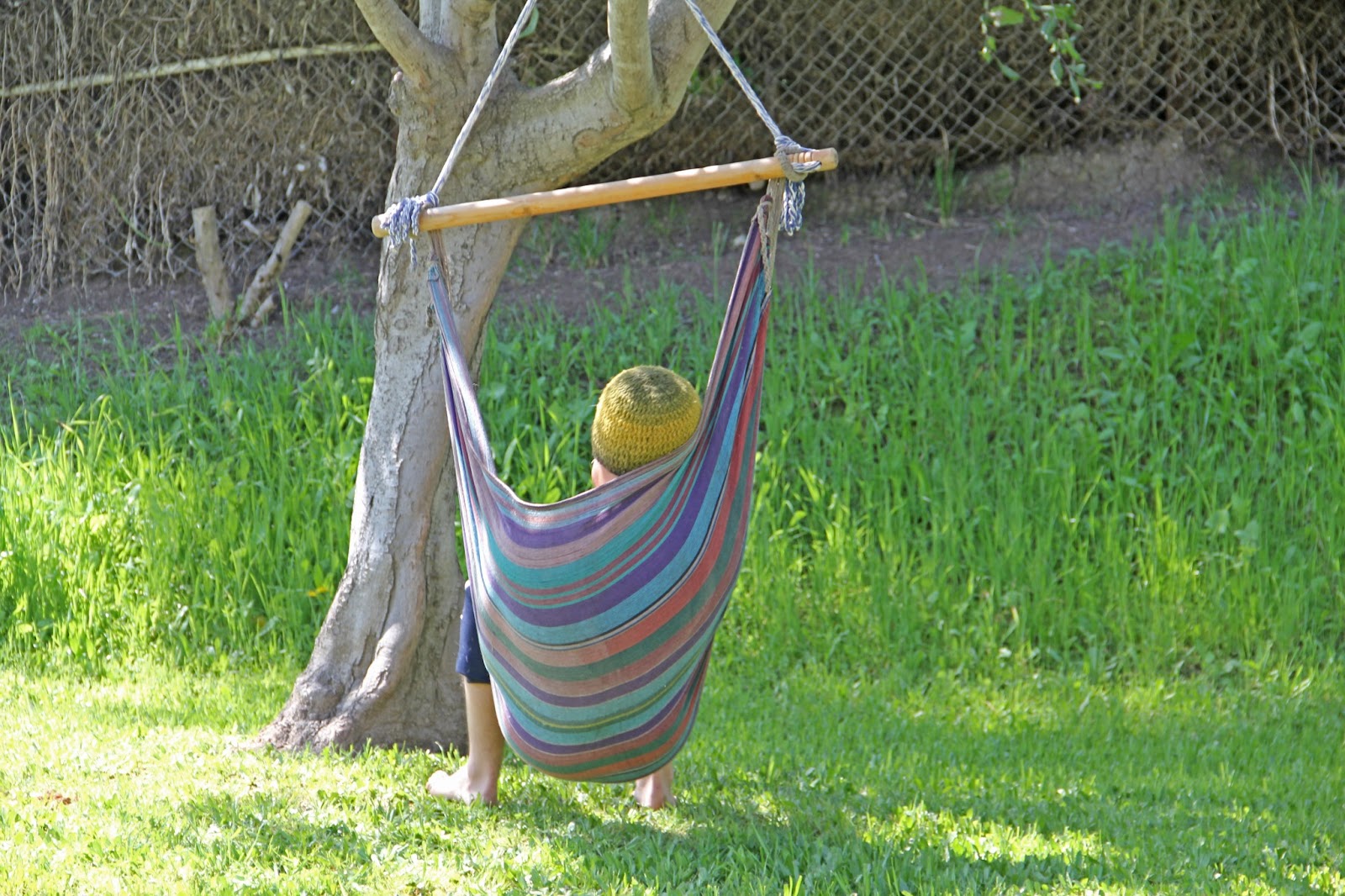 Los Franich Hammock Weather